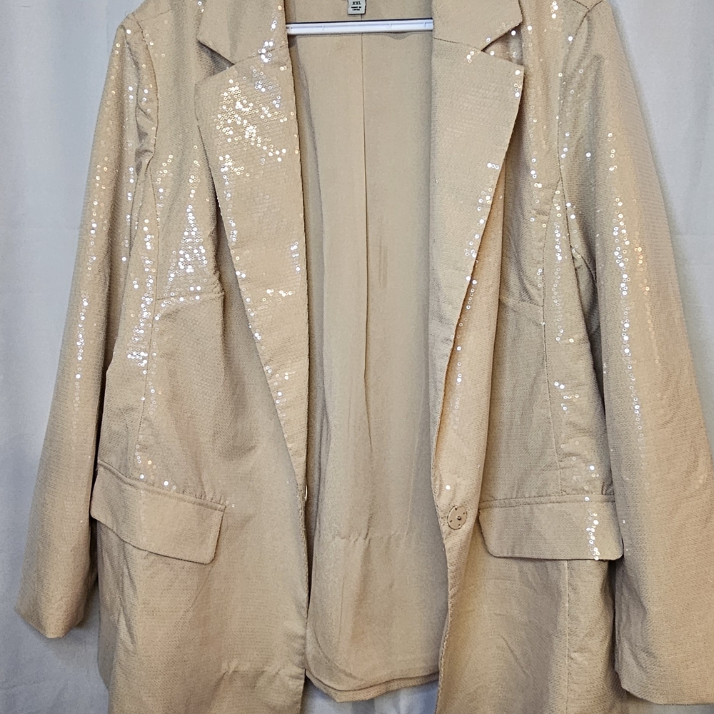 A New Day Sequin Beige Blazer - Picture 5 of 7
